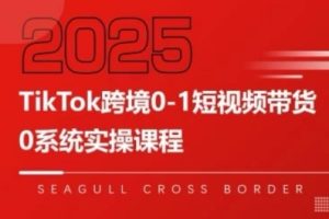 TikTok跨境0-1短视频带货,系统拆解TikTok跨境带货全链路,实现跨境可持续盈利-湘创网