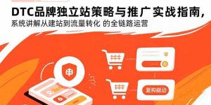 (15818期)DTC品牌独立站策略与推广实战指南,系统讲解从建站到流量转化的全链路运营-湘创网