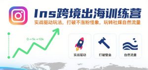 Ins跨境出海训练营,实战驱动玩法,打破不涨粉怪象,玩转社媒自然流量-湘创网