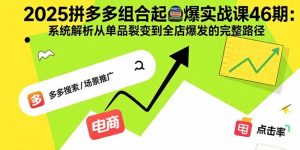 (15816期)2025拼多多组合起爆实战课46期:系统解析从单品裂变到全店爆发的完整路径-湘创网