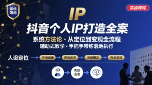 抖音个人IP系统落地实操大课,实操课程,辅助落地-湘创网
