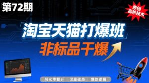 淘宝天猫打爆班原创高阶技术第72期,非标品干爆-湘创网