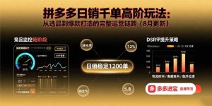 (15850期)拼多多日销千单高阶玩法:从选品到爆款打造的完整运营链路(8月更新)-湘创网