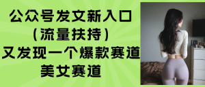(15781期)公众号发文新入口(流量扶持),又发现一个爆款赛道:美女赛道-湘创网
