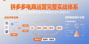 (15579期)拼多多电商运营完整实战体系,从选品上架到稳定盈利完整商业闭环(更新8月)-湘创网