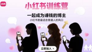 小红书训练营一起成为賺钱的博主,小红书是最适合普通人的风口-湘创网