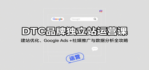 DTC品牌独立站运营课:建站优化、Google Ads + 社媒推广与数据分析全攻略-湘创网