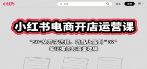 小红书电商开店运营课:从开店流程、选品上品到笔记爆流与流量逻辑-湘创网