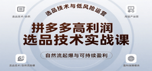 拼多多高利润选品技术实战课,手把手教学自然流高投产起爆,实现低风险可持续盈利-湘创网