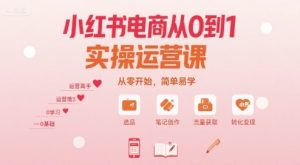 小红书电商从0到1实操运营课,从零开始,简单易学-湘创网