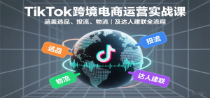 TikTok跨境电商运营实战课:涵盖选品、投流、物流及达人建联全流程-湘创网