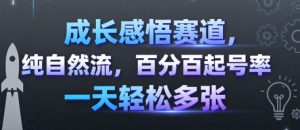 成长感悟赛道,纯自然流,百分百起号率 一天轻松多张-湘创网