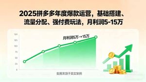 (15973期)2025拼多多年度爆款运营,基础搭建、流量分配、强付费玩法,月利润5-15万-湘创网