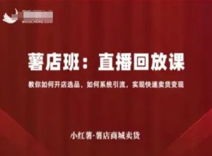 小红薯薯店商城卖货直播回放课,教你如何开店选品、如何系统引流,实现快速卖货变现-湘创网