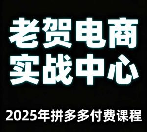 老贺电商2025年拼多多付费课程,用通俗易懂的方法告诉你多多怎么玩-湘创网