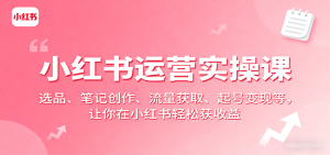 小红书运营实操课:选品、笔记创作、流量获取、起号变现等,让你在小红书轻松获收益-湘创网