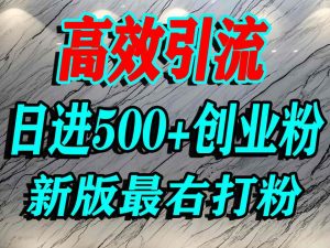 最右打创业粉,百分之九十九同行都不知道的空白蓝海,单人日引500+精准流量-湘创网