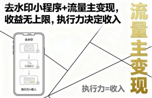 去水印小程序+流量主变现,收益无上限,执行力决定收入-湘创网