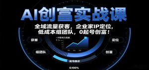AI创富实战课:企业家IP定位,全域流量获客,低成本组团队,0起号创富!-湘创网