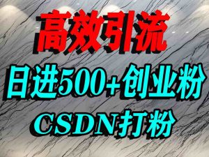 怎么打创业粉?CSDN又一个你不知道的打粉引流神秘平台,单人日引500+精准流量-湘创网