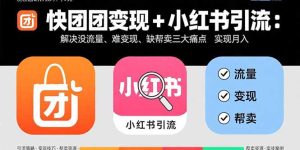 (15877期)快团团变现+小红书引流:解决没流量、难变现、缺帮卖三大痛点 实现月入3w+-湘创网