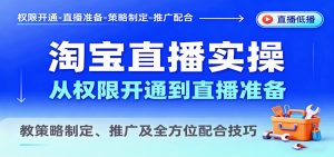 淘宝直播实操,从权限开通到直播准备,教策略制定、推广及全方位配合技巧-湘创网