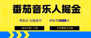 番茄音乐人掘金,单账号最高可撸1k+,可无限矩阵去做,零投入-湘创网