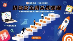 拼多多全阶实战课程,从新手小白到运营高手,海量实战玩法+全年实时更新【2025年9月更新】-湘创网