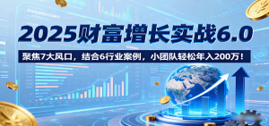 2025财富增长实战6.0,聚焦7大风口,结合6行业案例,小团队轻松年入200万!-湘创网