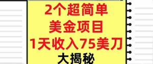 2个超简单美金项目,1天收入75美刀,3分钟学会,内部教程(大揭秘)-湘创网