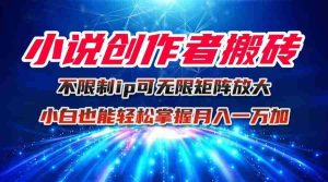 （16209期）小说创作者搬砖玩法，不限制IP简单无脑 可矩阵无限放大小白也能实现轻…-湘创网