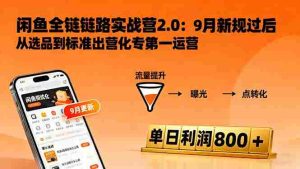 (16265期)闲鱼变现课3.0:掌握链接优化、流量提升、商业变现,单日利润800+-湘创网