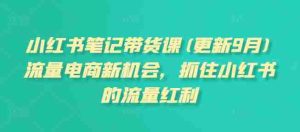 小红书笔记带货课(更新25年9月)流量电商新机会,抓住小红书的流量红利-湘创网