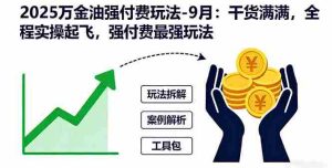 (16202期)2025万金油强付费玩法-9月:干货满满,全程实操起飞,强付费最强玩法-湘创网