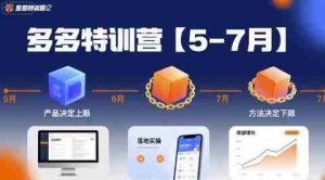 多多特训营,产品决定上限,方法决定下限,各种玩法技巧落地实操(更新)-湘创网