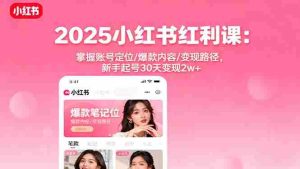 (16153期)2025小红书红利课:掌握账号定位/爆款内容/变现路径,新手起号30天变现2w+-湘创网