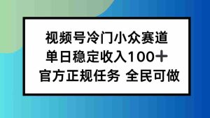 (16234期)视频号小众赛道,单日稳定收入100+,适合所有人-湘创网