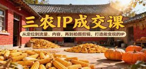 三农IP成交课:从定位到流量、内容,再到拍摄剪辑,打造能变现的IP-湘创网