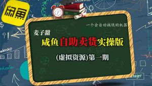 麦子甜咸鱼自助卖货实操版(虚拟资源)一个会自动搞钱的机器-湘创网