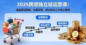 (16211期)2025跨境独立站运营课:涵盖建站搭建、流量获取、转化优化三大核心模块-湘创网