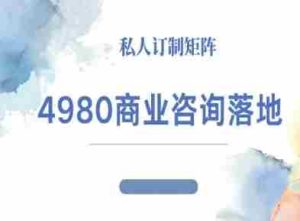 4980商业咨询师落地课程-ip运营高客单教程-湘创网