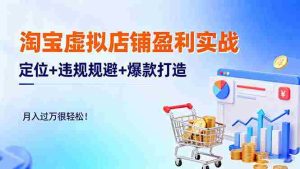 （16387期）淘宝虚拟店铺盈利实战：定位+违规规避+爆款打造，月入过万很轻松！-湘创网