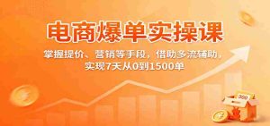 电商爆单实操课:掌握提价、营销等手段,借助多流辅助,实现7天从0到1500单-湘创网
