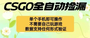 (16207期)自动挂机捡漏,不用自己挂机不用玩游戏,一个手机即可操作。新手小白轻…-湘创网