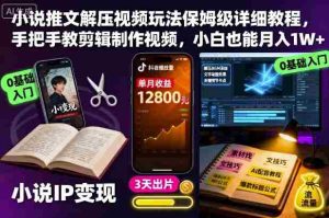 小说推文解压视频玩法保姆级详细教程,手把手教剪辑制作视频,小白也能月入1W+-湘创网