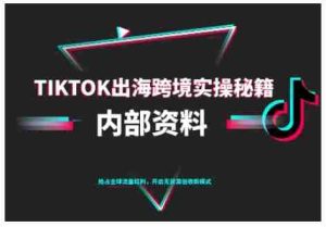 TikTok跨境电商0-1搭建运营，TK出海跨境实操秘籍（10月更新）-湘创网