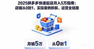 （16199期）2025拼多多快速起店月入5万指南：店铺从0到1，实操案例拆解，运营全链路-湘创网