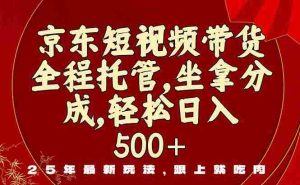 (16204期)京东短视频带货,新玩法,0门槛,做就有米-湘创网
