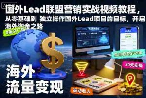 国外Lead联盟营销实战视频教程,从零基础到独立操作国外Lead项目的目标,开启海外淘金之路-湘创网