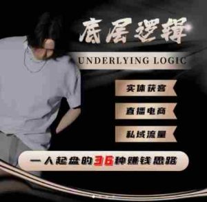 一个人起盘的底层逻辑,私域流量-直播电商-实体获客,一人起盘的36种賺钱思路-湘创网